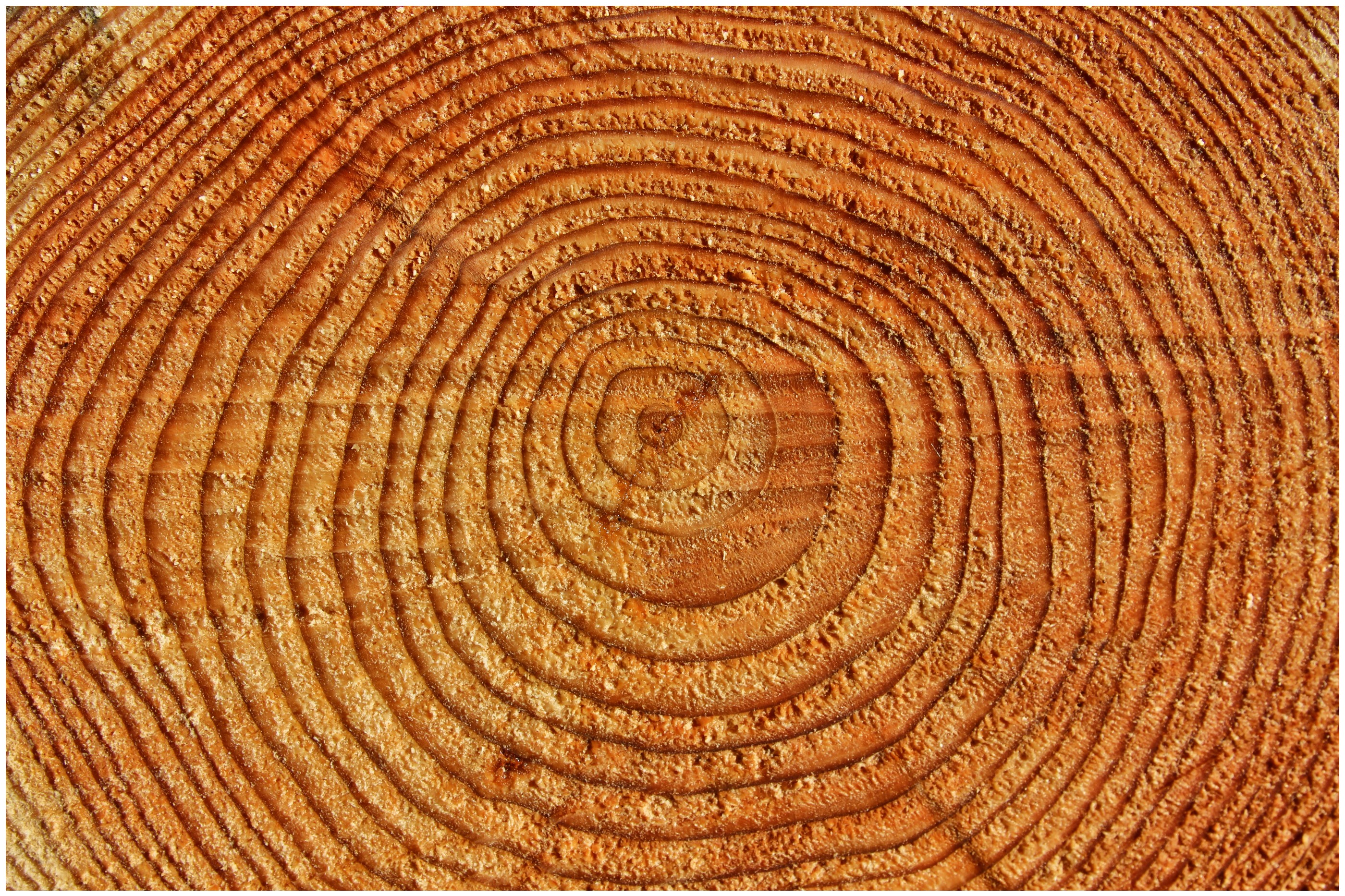 Route abandonnée tron